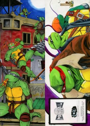 Teenage Mutant Ninja Turtles by Konin Schaffel - 4 panel