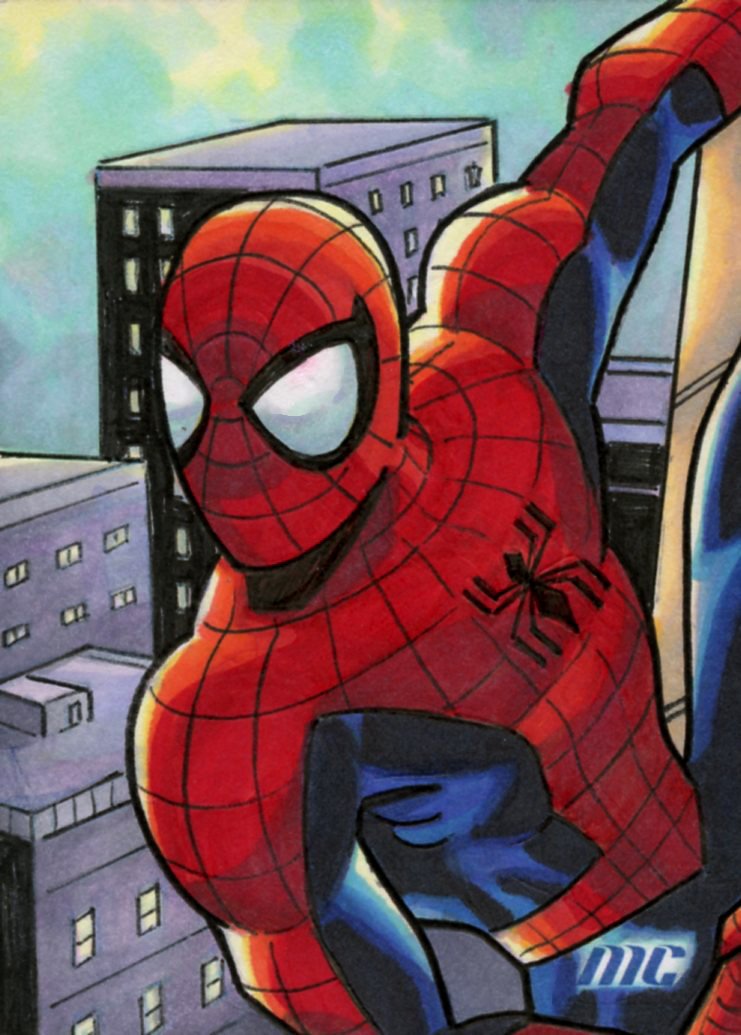 Spider-Man by Paul Hill – standard size