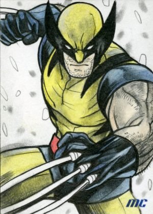 Wolverine by Andre Toma - standard size