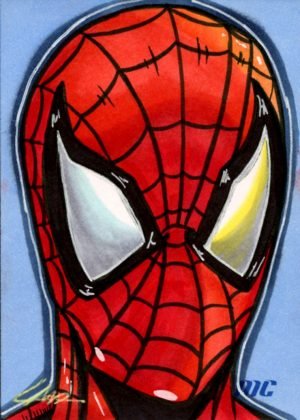 Spider-Man by Lance Duet (Rebel War Pig) - standard size
